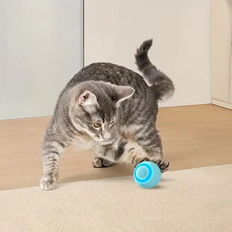 Bewegungsaktiver LED-Spielball für Katzen & kleine Hunde