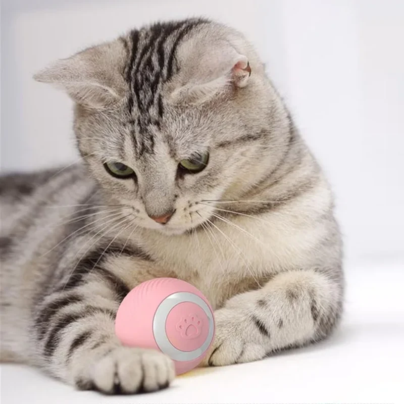Bewegungsaktiver LED-Spielball für Katzen & kleine Hunde