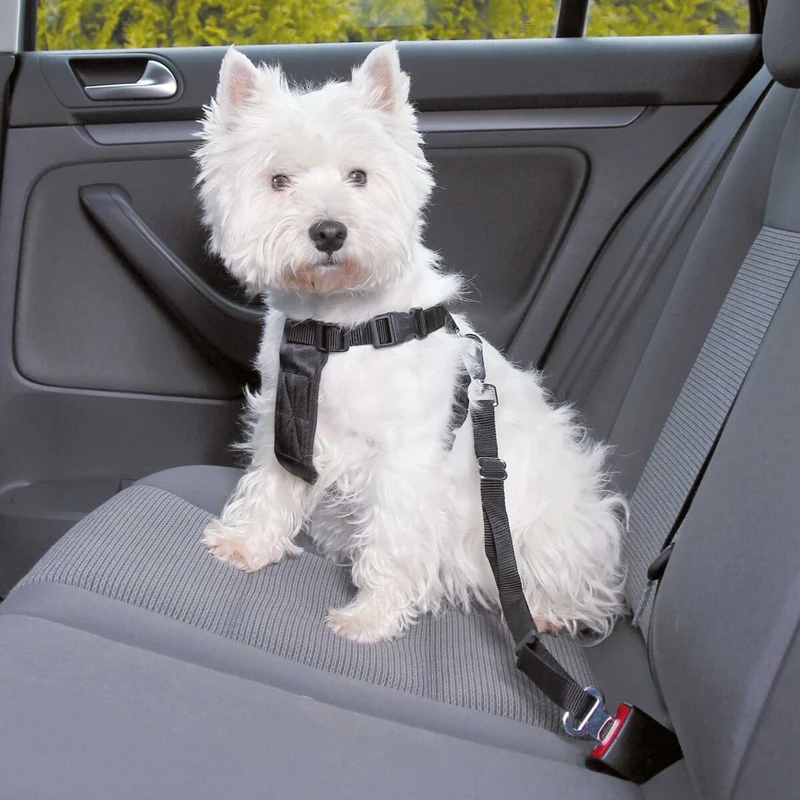 Autogeschirr für Hunde mit Anschnallgurt