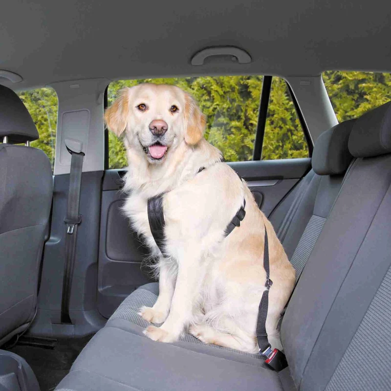 Autogeschirr für Hunde mit Anschnallgurt