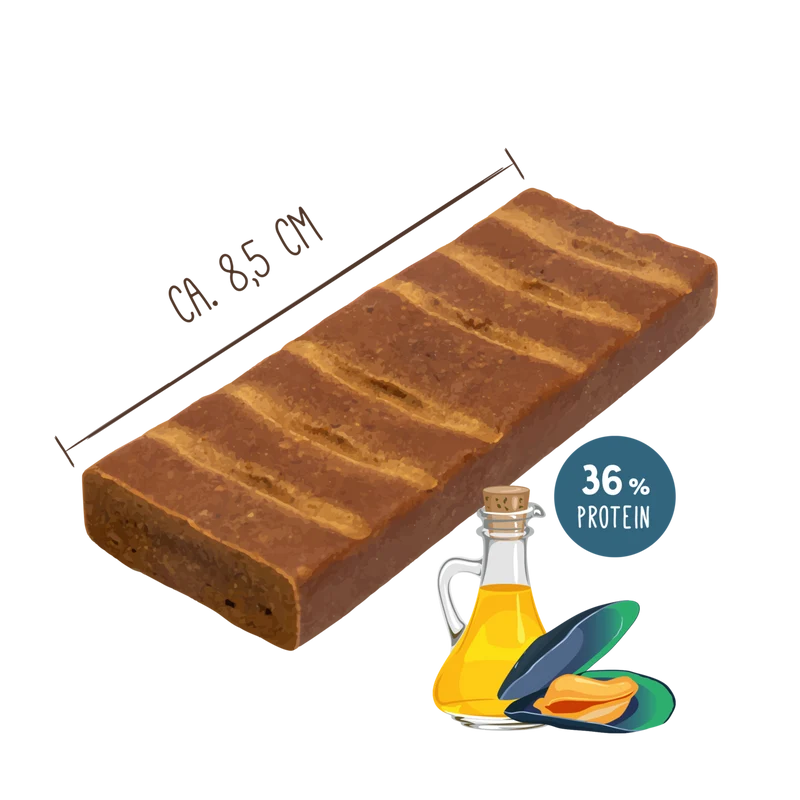 Sammys Fitness-Schnitte