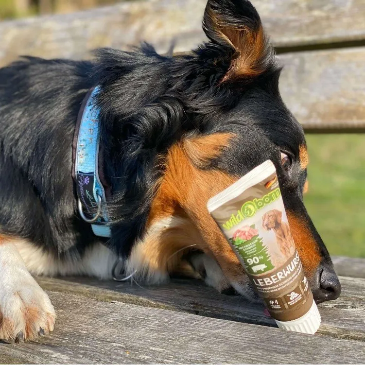 Premium Hunde Leberwurst aus der Tube