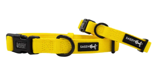 Neon Yellow Collar