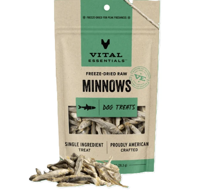 Minnows