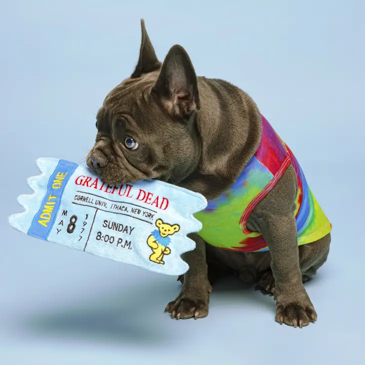 Grateful Dead Ticket