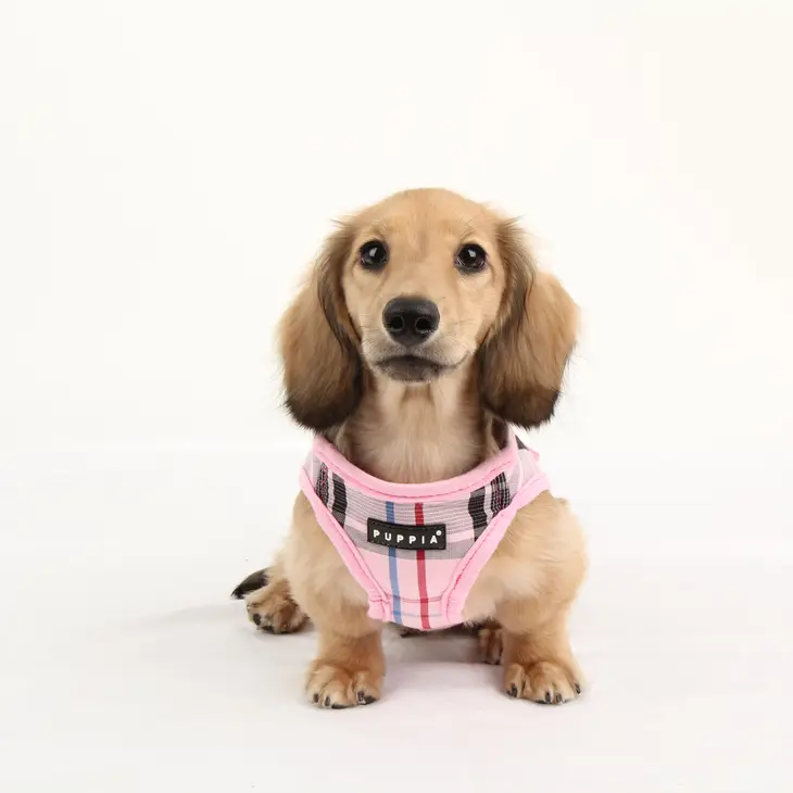 Pink Plaid Harness