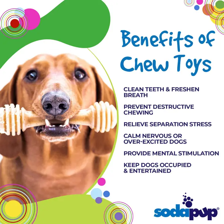 Honey Nylon Enrichment Toy