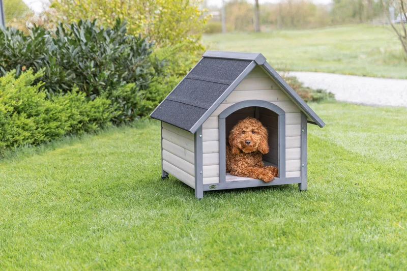 Hundehütte Cottage