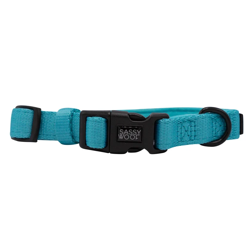 Neon Blue Collar