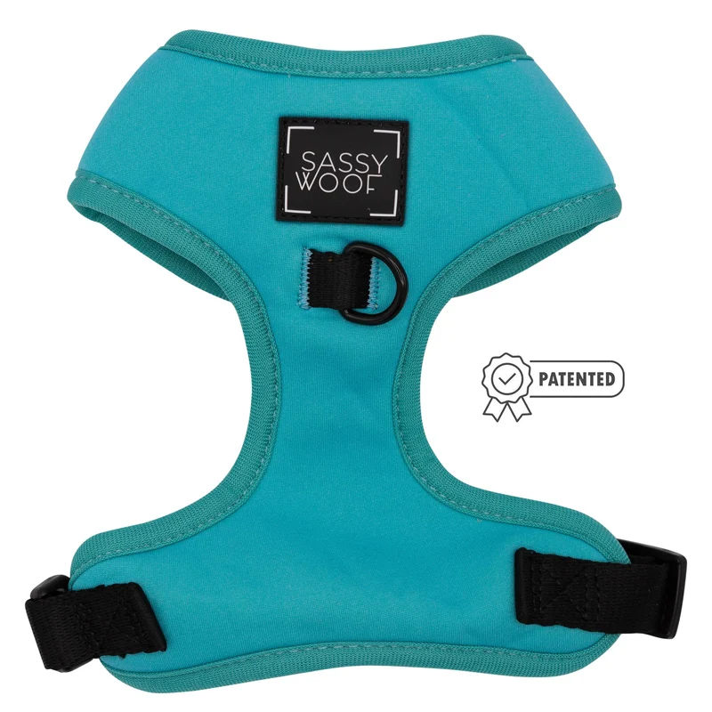 Neon Blue Harness