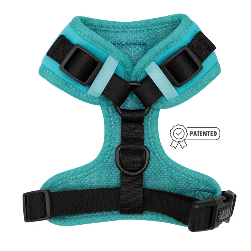 Neon Blue Harness