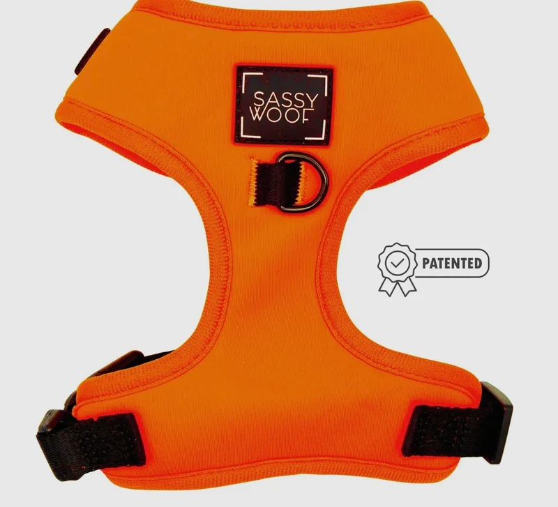 Neon Orange Harness