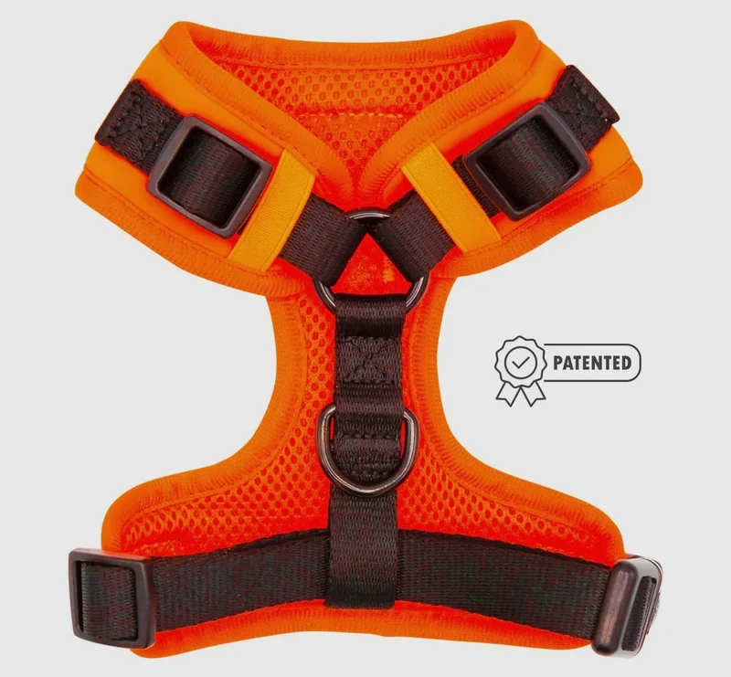 Neon Orange Harness