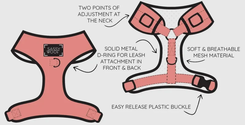 Neon Orange Harness