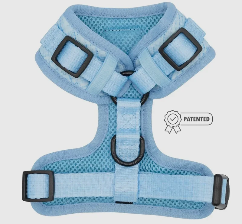 Blumond Harness