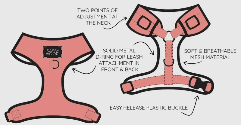 Blumond Harness