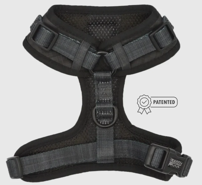 Baby Got Black Harness