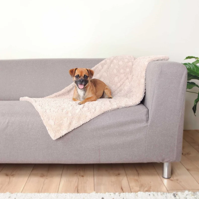Hundedecke Cosy