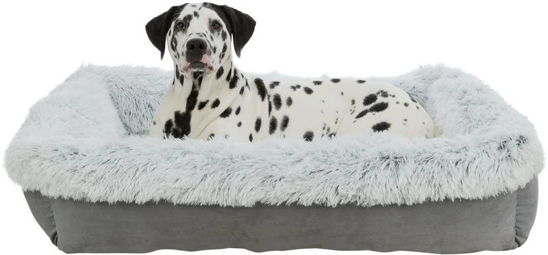 Bett Harvey