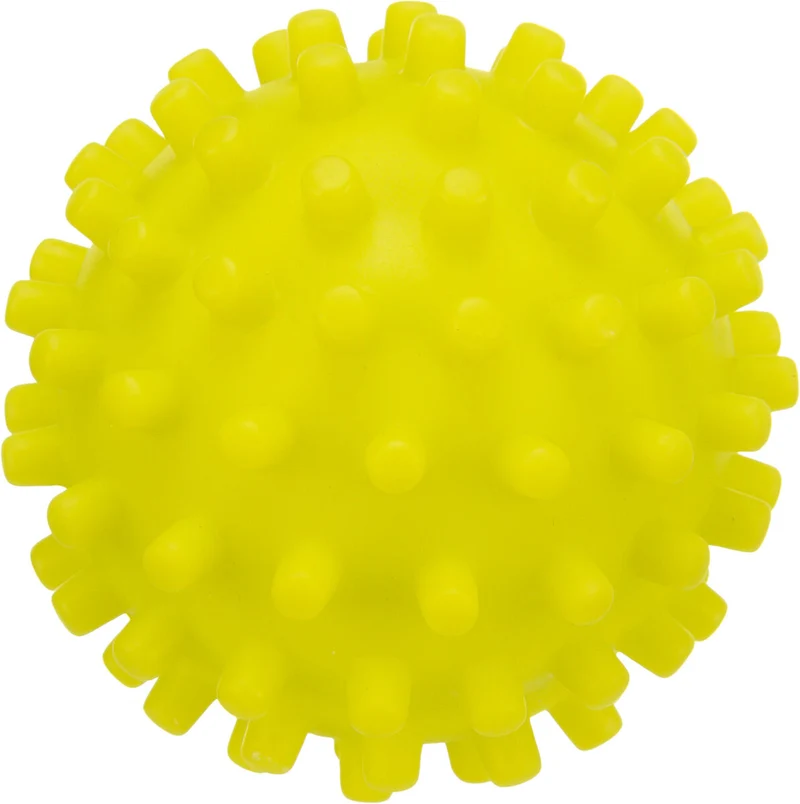 Igelball für Hunde