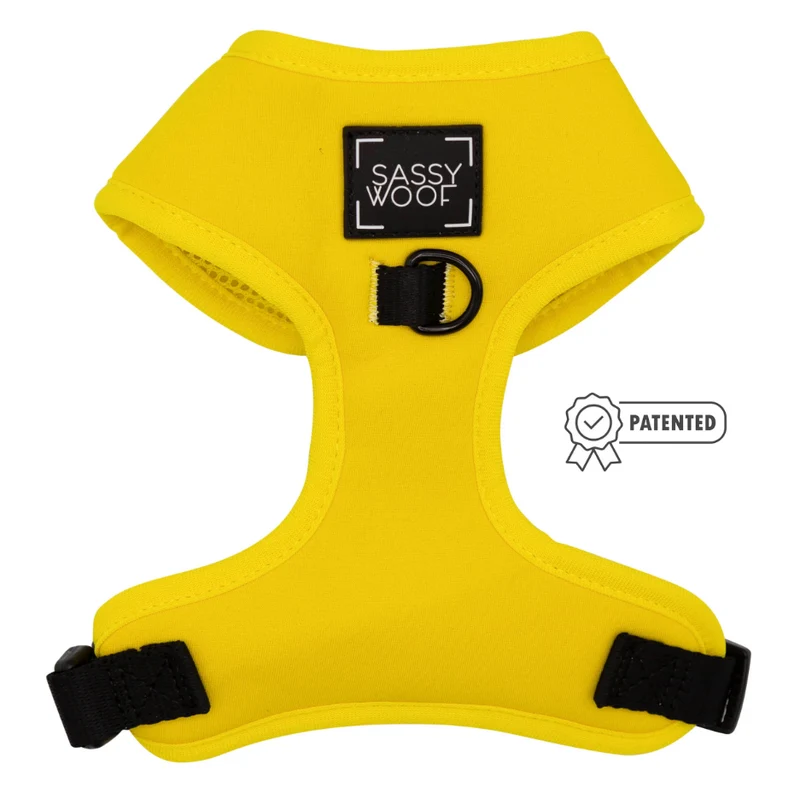 Neon Yellow Harness