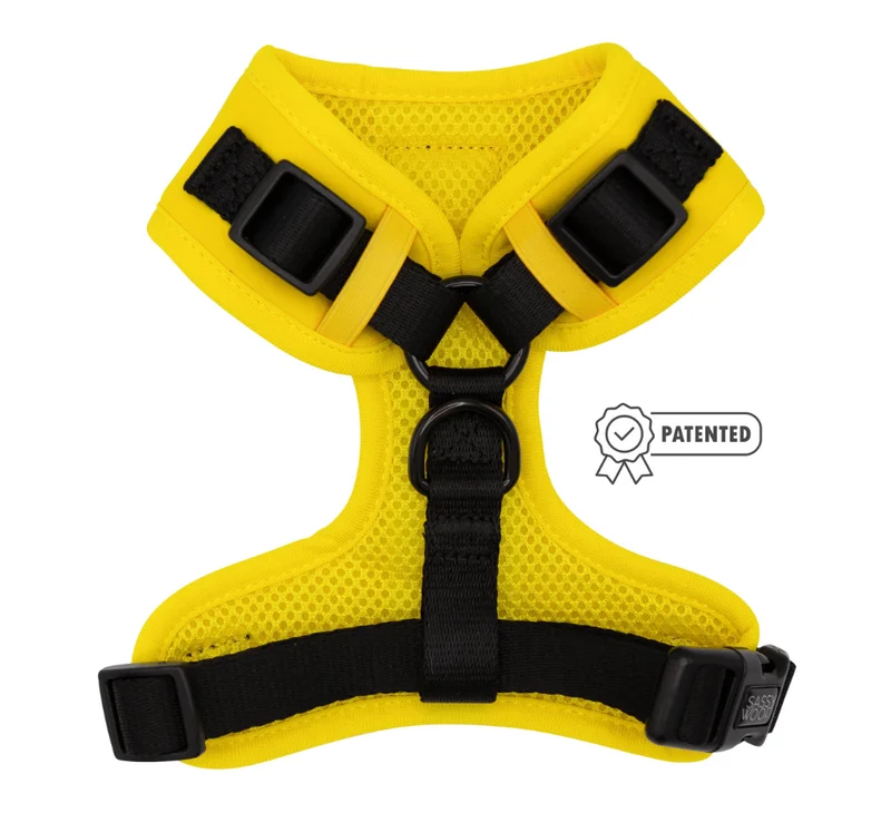 Neon Yellow Harness