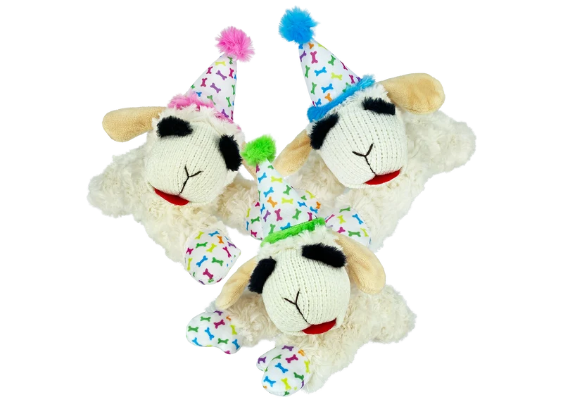 Birthday Hat Lamb Chop