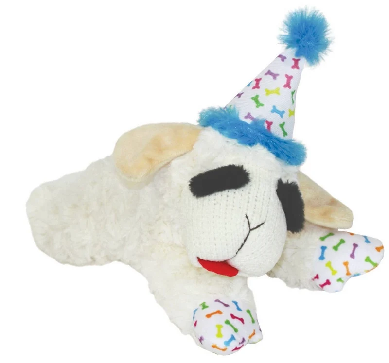 Birthday Hat Lamb Chop
