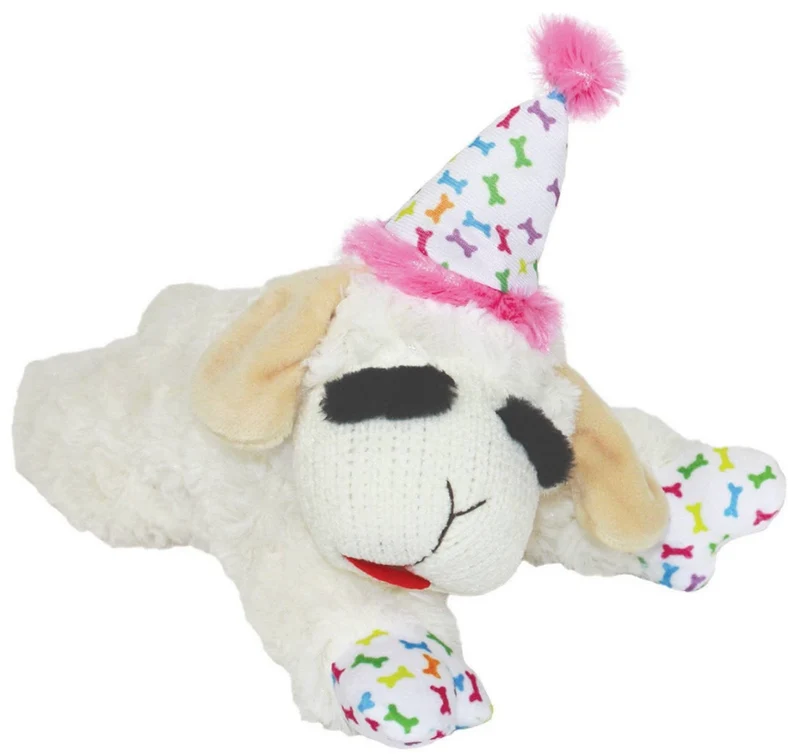 Birthday Hat Lamb Chop