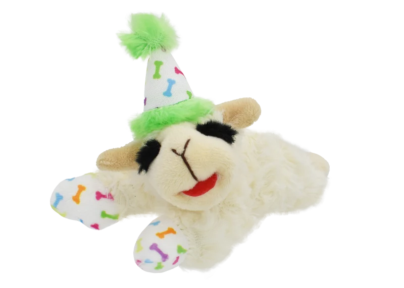Birthday Hat Lamb Chop