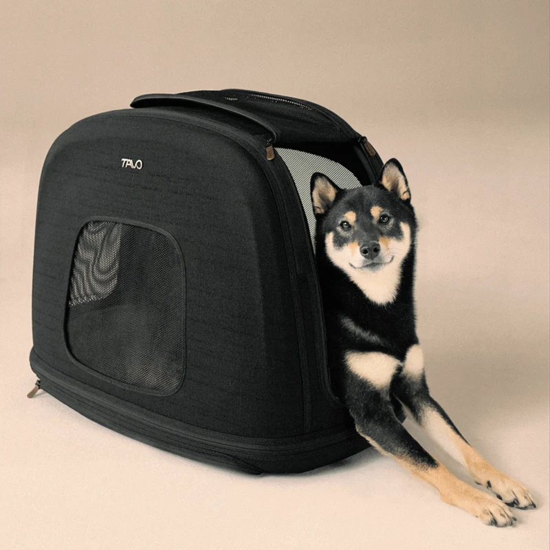 TAVO Crispin crashgetestete Transportbox für Hunde & Katzen
