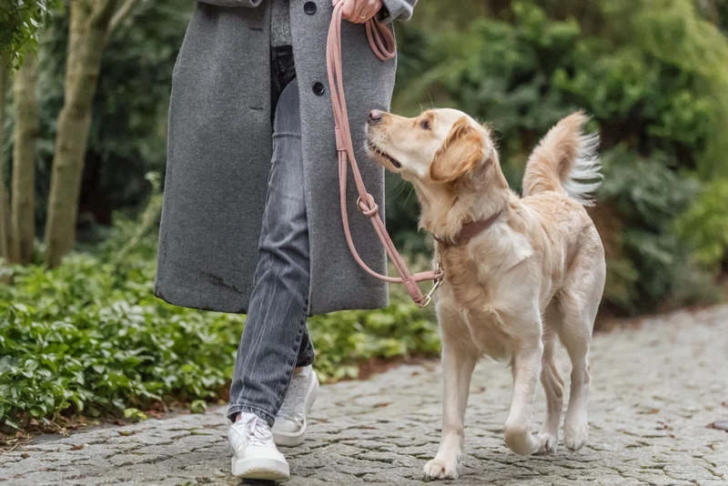 Pure Verlängerungsleine, Leder