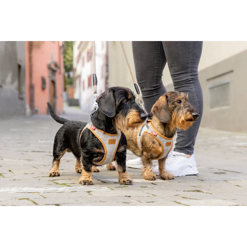 Curli Clasp Vest Harness Alpine – Dein Hundeglück