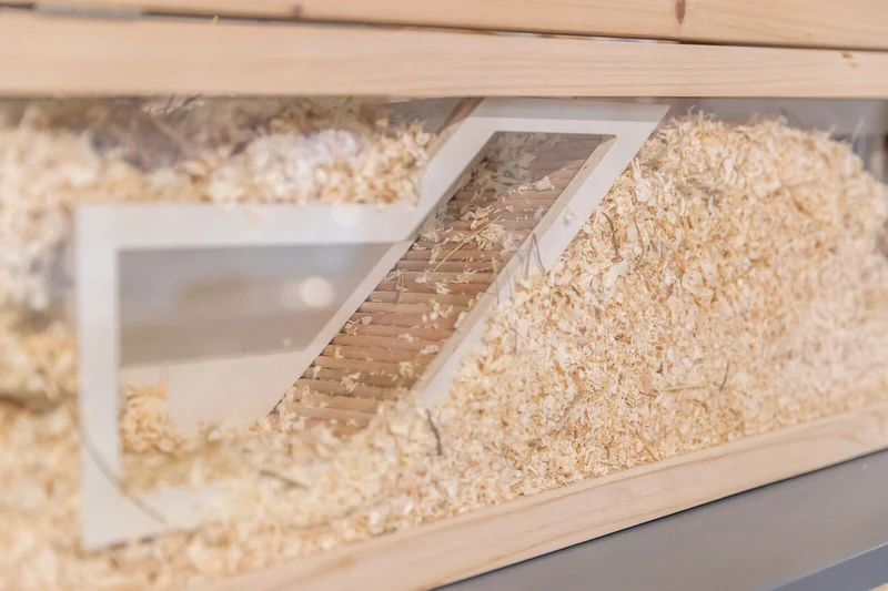 Watchbox