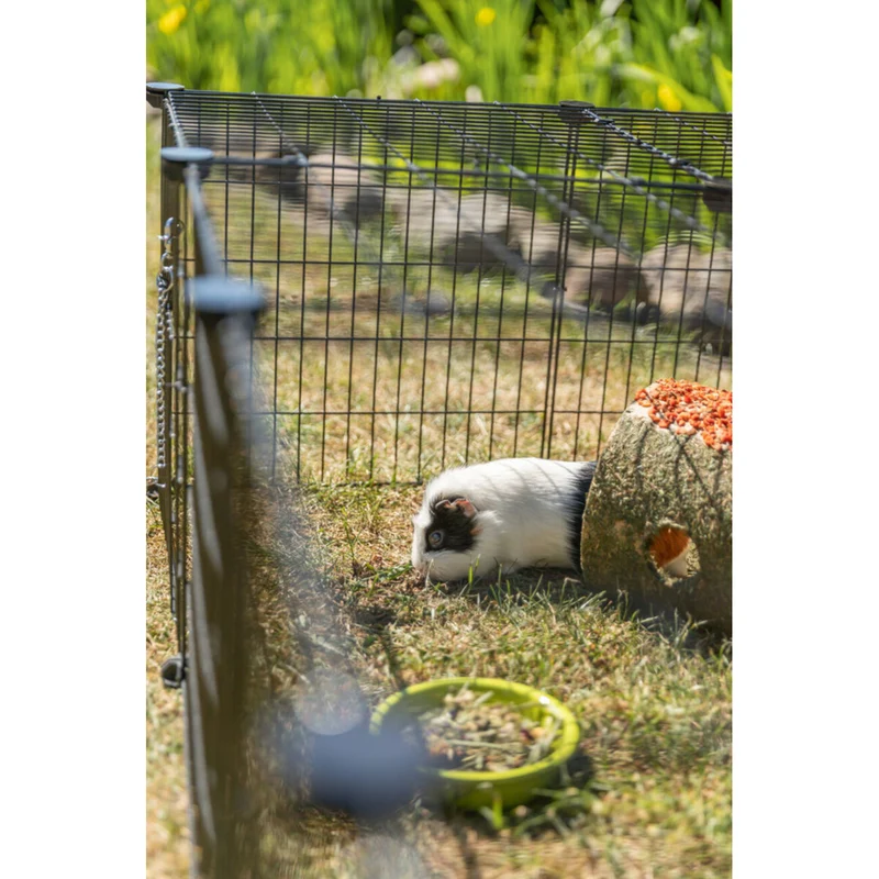 TRIXIE Freilaufgehege mit Abdeckung | Sicherer Auslauf für Kaninchen & Meerschweinchen