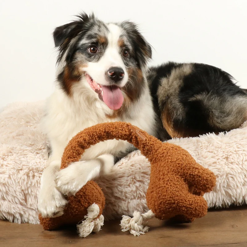 George Teddystoff Hundespielzeug mit Tau & Plüsch | D&D Home