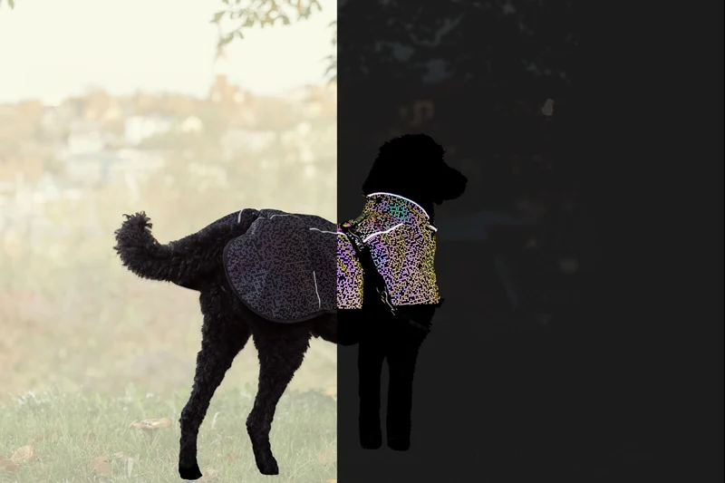 vollreflektierender, wasserdichter Hundemantel Limoux Reflect mit leichter Fütterung
