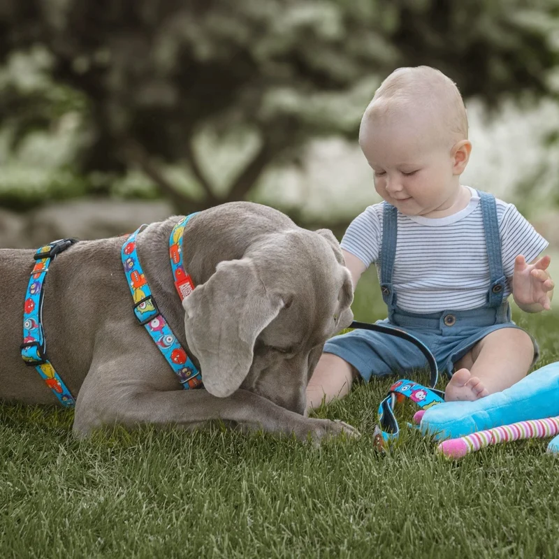 Max & Molly Hunde H-Geschirr Little Monsters