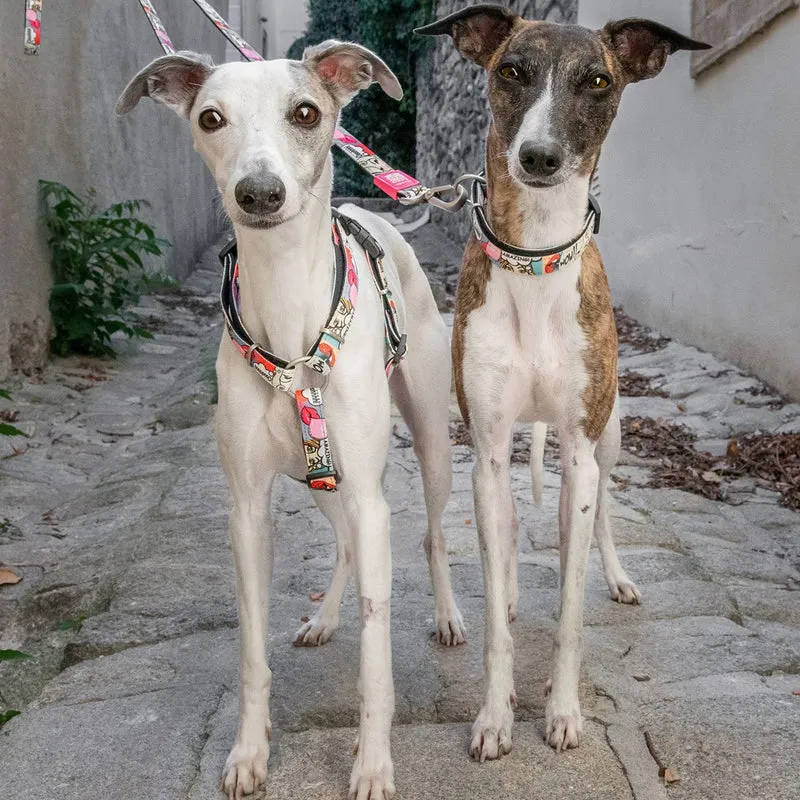 Max & Molly H-Geschirr für Hunde Missy Pop