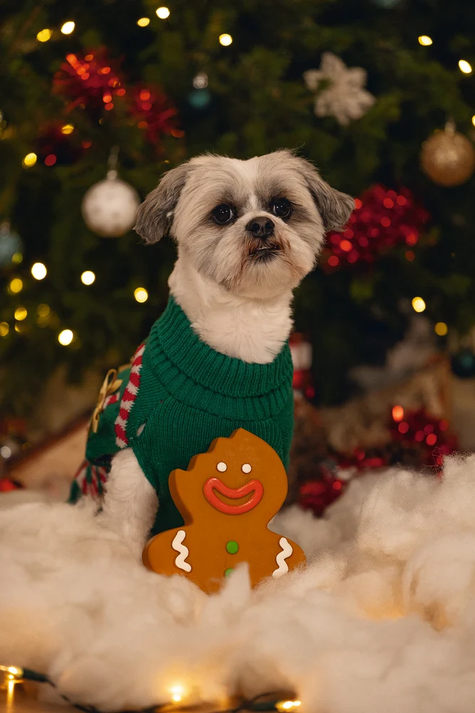 Beeztees Xmas Lebkuchenmann – Latex-Hundespielzeug mit Quietscher