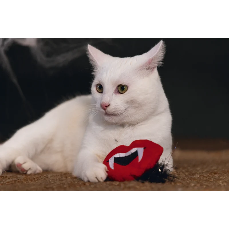 Beeztees Halloween Dracula Katzenspielzeug