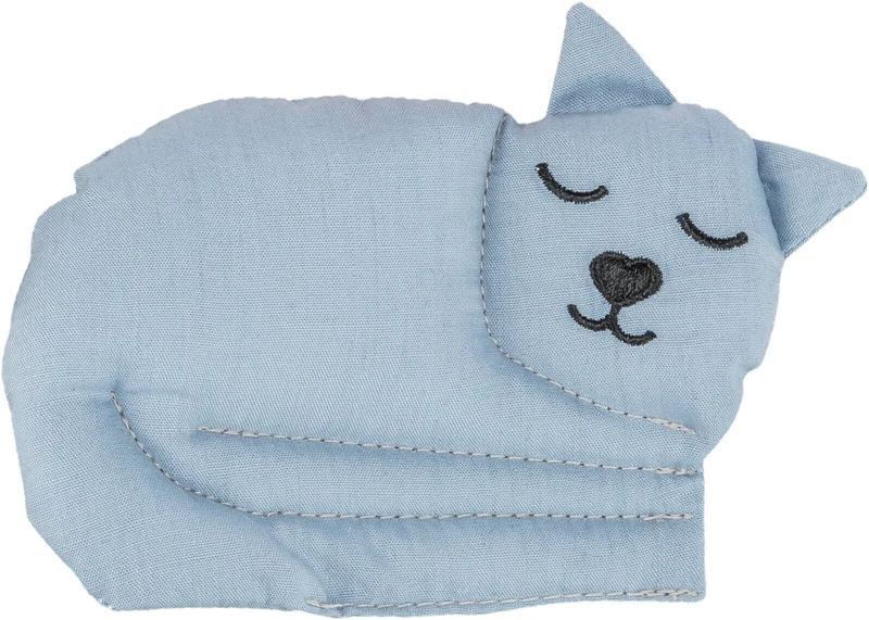 Katze