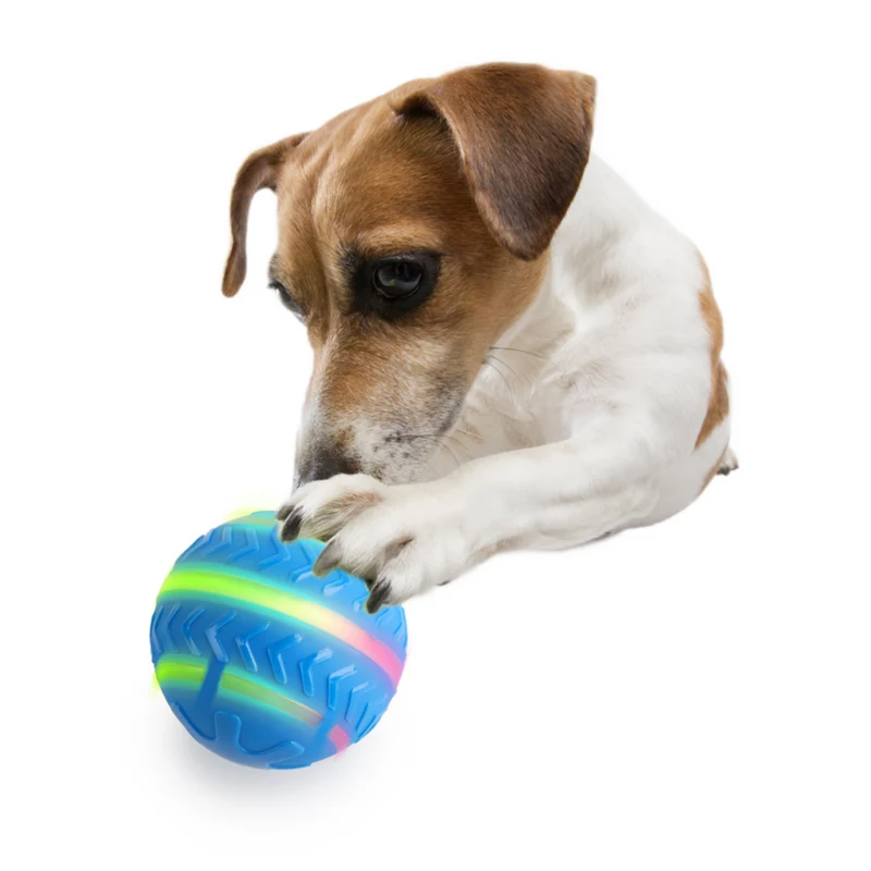 AFP Interactives Motion Activated Action Ball für Hunde | tiierisch.de