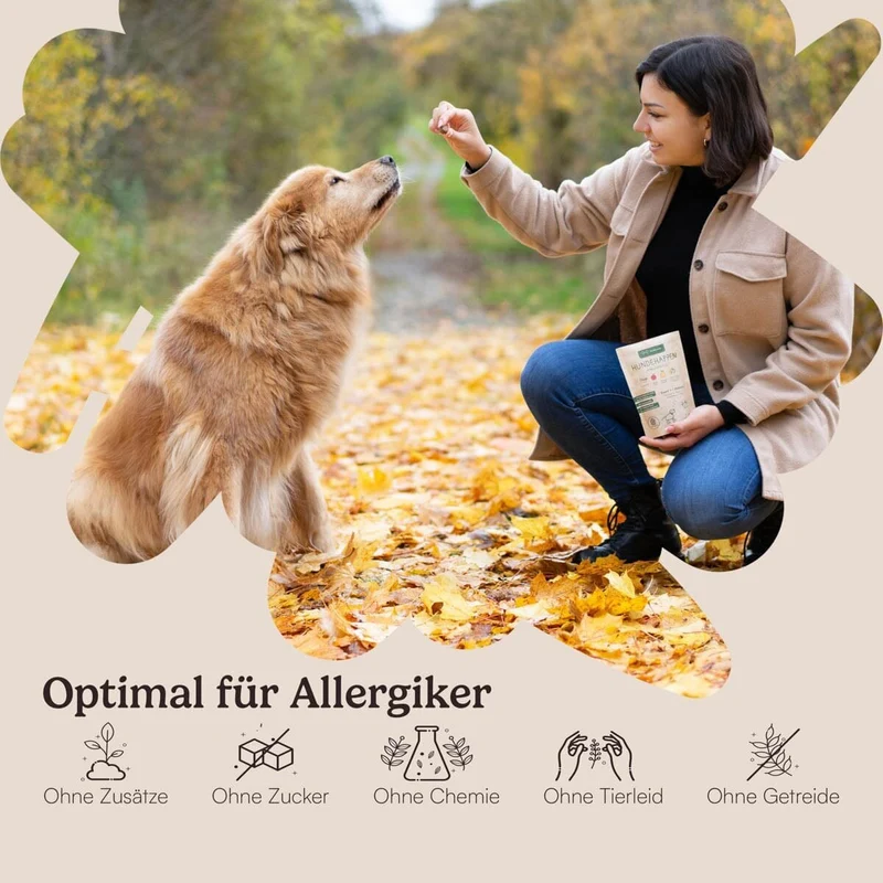 Vegane Hundehappen Morgenmuffel