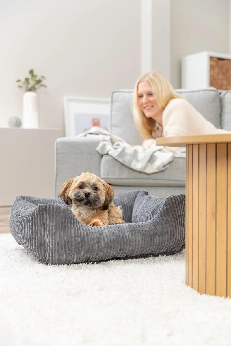 Orthopädisches Cord-Bett für Hunde und Katzen mit Rand und Memory-Foam