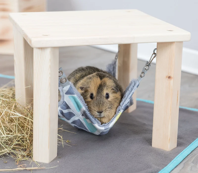 Unterstand mit Hängematte Sunny