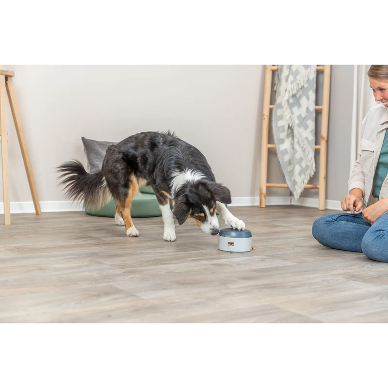 Dog Activity Buzzer für Hunde