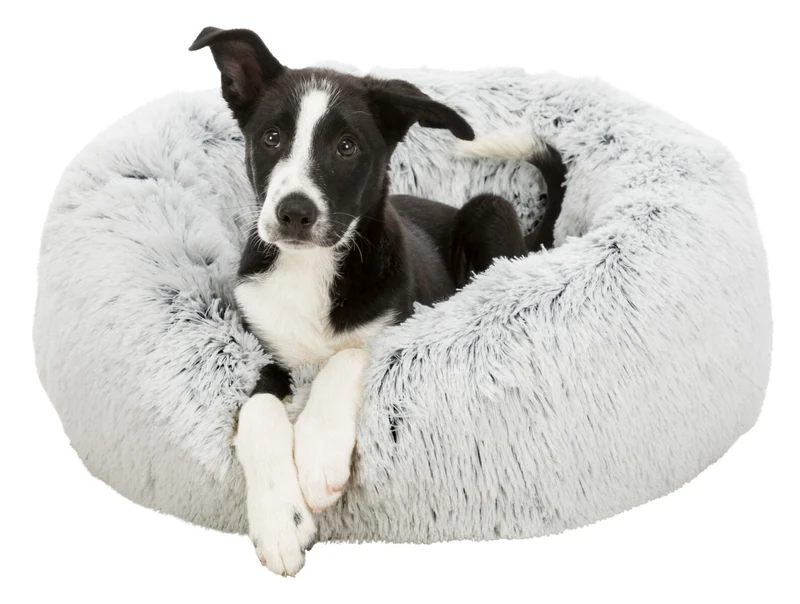 Bett Harvey