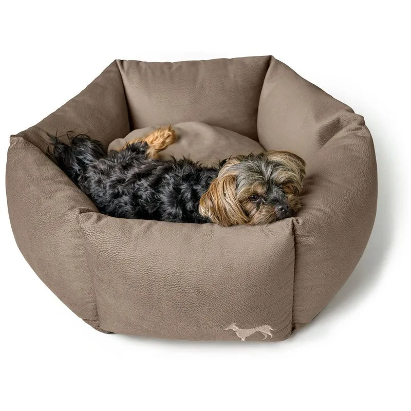 Orthopädisches Hundesofa Merida 6-eckig