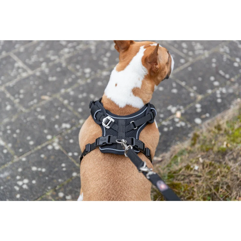 Premium FlexMesh Geschirr, wide fit spezieller Schnitt für kurze, kompakte Hunde, z. B. Möpse & Bulldoggen